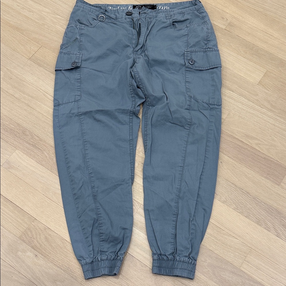 Publish jogger cargo pants 32